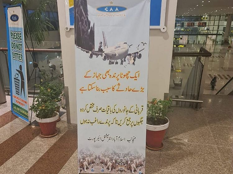  This signboard at Islamabad airport reads that “even a small bird strike can result in a major aviation accident” and urges people to safely dispose of animal remains.  
