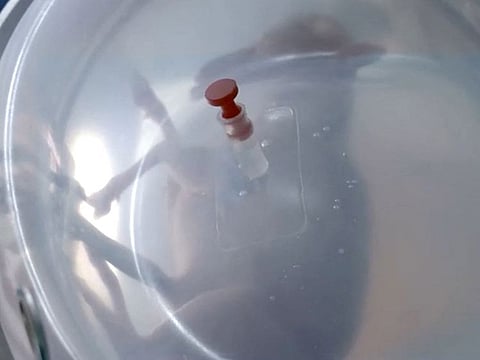 A premature lamb fetus is seen inside an artificial womb developed by researchers from BCNatal in Barcelona, Spain. 