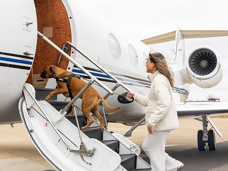 STOCK K9 JET