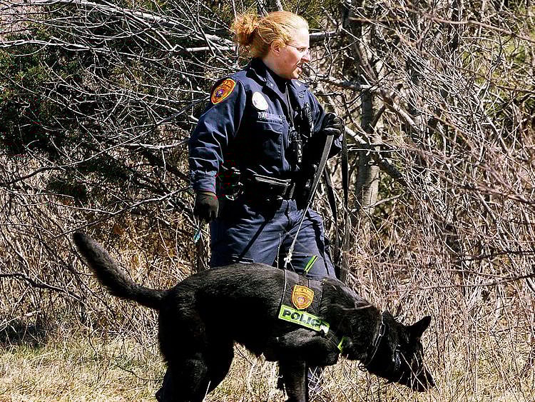 Long_Island_Serial_Killings_52551--c481d-(Read-Only)