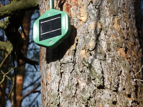 German startup Dryad has designed a cheap sensor that could drastically reduce detection time for wildfires.