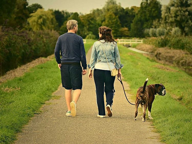 Dog walking