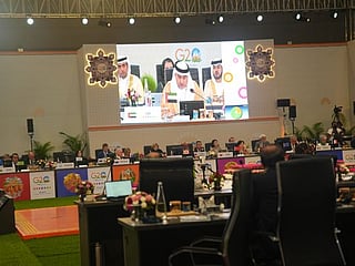 UAE committed to play active role in creating job opportunities: Minister