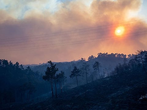 A wildfire burns in a forest near Lardos, on the island of Rhodes, Greece, July 22, 2023. 