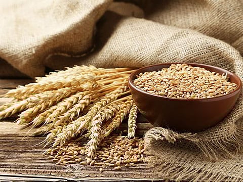 First Mills and its integral role in promoting food security in Saudi Arabia 