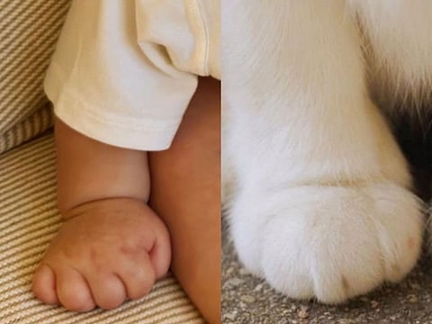 First glimpse of Hyun Bin and Son Ye-jin's baby