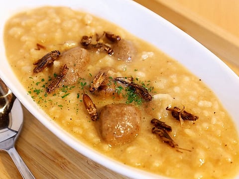 Cheese risotto with cricket meatballs is pictured at Take-Noko cafe in Tokyo, Japan, July 21, 2023. 
