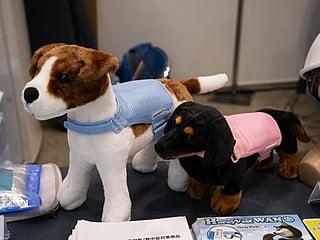 In Pictures: Tokyo's Extreme Heat Countermeasure Exhibition highlights personal cooling devices to beat the heat