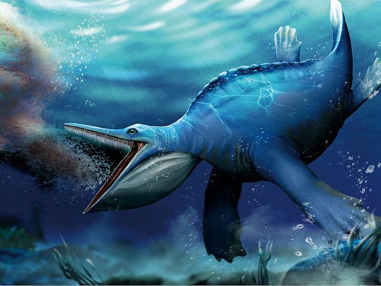 2023-08-08T001738Z_1101555195_RC2UI2AIIKZ4_RTRMADP_3_SCIENCE-REPTILE-(Read-Only)
