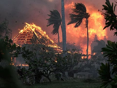 Hollywood stars open up their hearts for forest-fire struck Maui