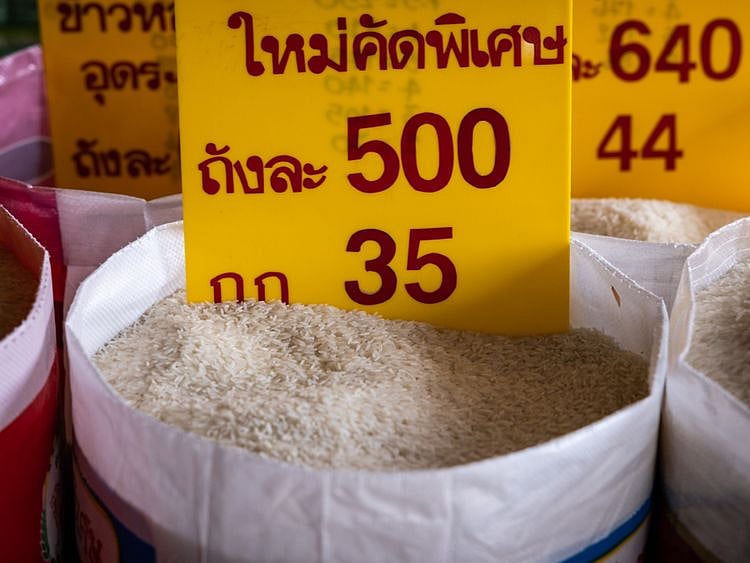 Copy of rice-bg-88f94898-3149-11ee-965d-1b42838e0cbb-1691816548158