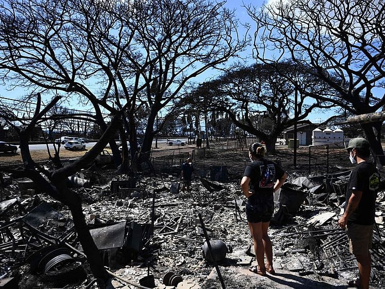 Maui Fires