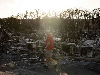 Hawaii wildfires in US: Maui fires not just due to climate change but a ‘compound disaster’