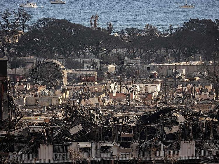 Maui hawaii wildfires