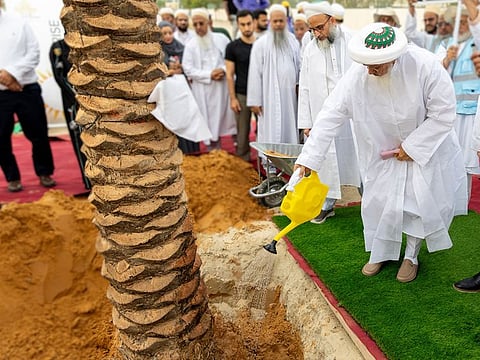 Sultan al-Bohra Syedna Mufaddal Saifuddin, leader of the Dawoodi Bohra community, took the initiative to introduce 80 native date palm trees into Al Qusais, Dubai.