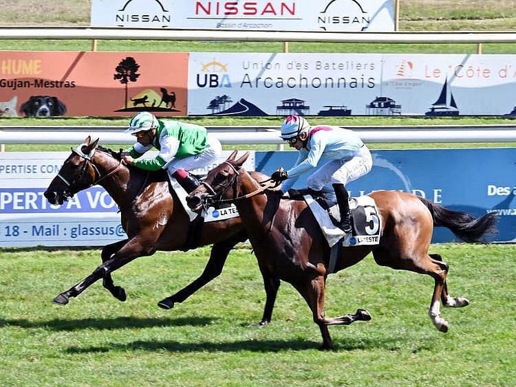Poland's Sluzewiec Horse Race Track will host the Sheikh Zayed Purebred Arabian Horses Cup