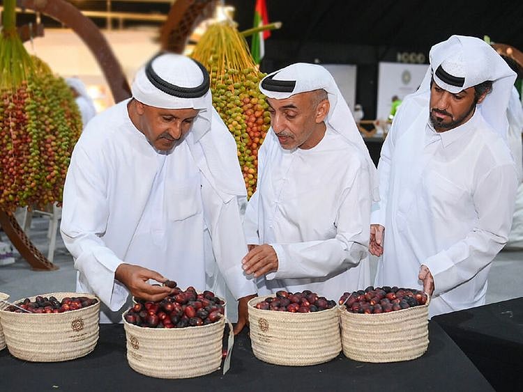 liwa-dates-festival-supplied-pic-1692434926358