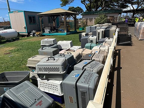 Pet carriers are stacked outside the Maui Humane Society in Lahaina, Hawaii.