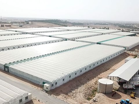 Mahasil: Towards a bright vision and sustainable future