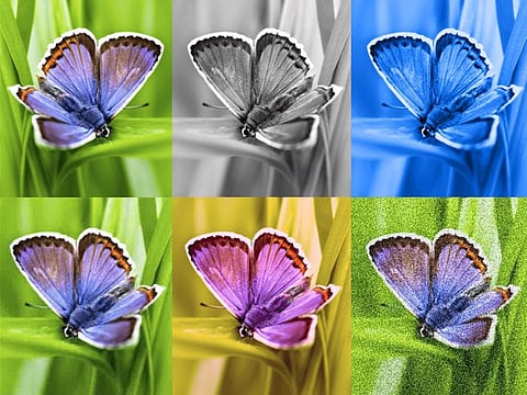 Identifying AI-generated images with SynthID