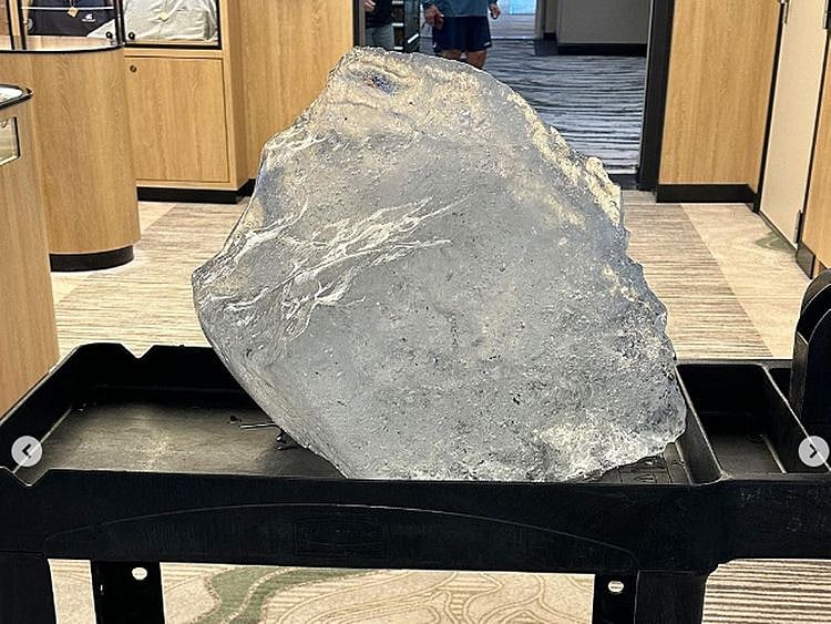 iceberg martha stewart