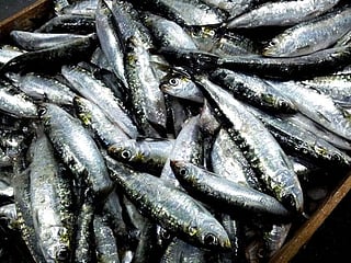 Sardine dish poisons to death diner in France