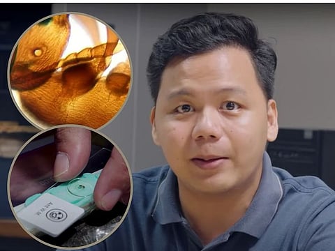 Young Filipino inventor Jeremy De Leon of Mapua University and his "Make-croscope" (inset, below). The device resembles a plastic fastener, featuring a tiny lens at its centre. With a few simple steps, it can be affixed to your smartphone's front camera using its built-in clip to magnify a specimen by up to 400x. 