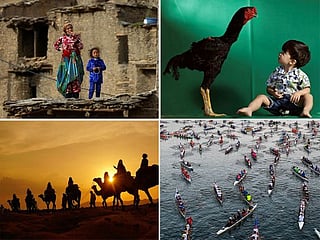 Morocco quake, giant roosters, Paris rowers and more: Top 10 pictures of the week from around the world