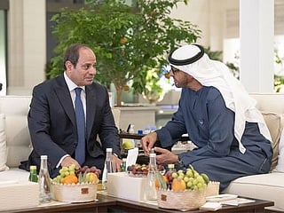 UAE President, Egyptian President emphasise importance of dialogue and diplomacy in fostering stability in region