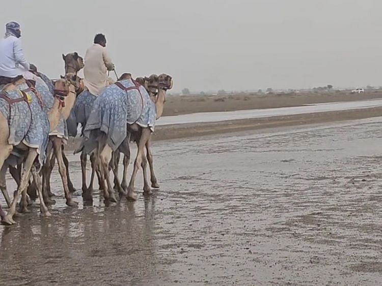 Rain in Al Ain