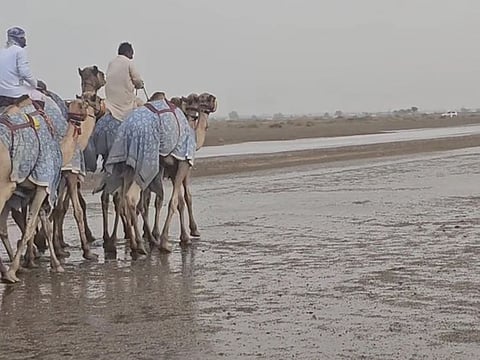 Rain in Al Ain