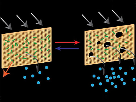 UAE researchers, together with their collaborators from the Institute for Membrane Technology in Italy, created a unique hybrid membrane by utilising stimuli-responsive materials, thermosalient organic crystals, embedded in polymers.