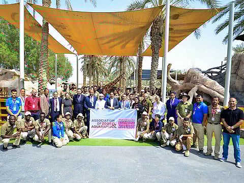 The AZA accreditation is a testament to Emirates Park Zoo's unwavering dedication to maintaining the highest standards of animal care and well-being  