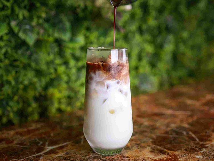 Spanish Latte Flying Catch by Shikhar Dhawan