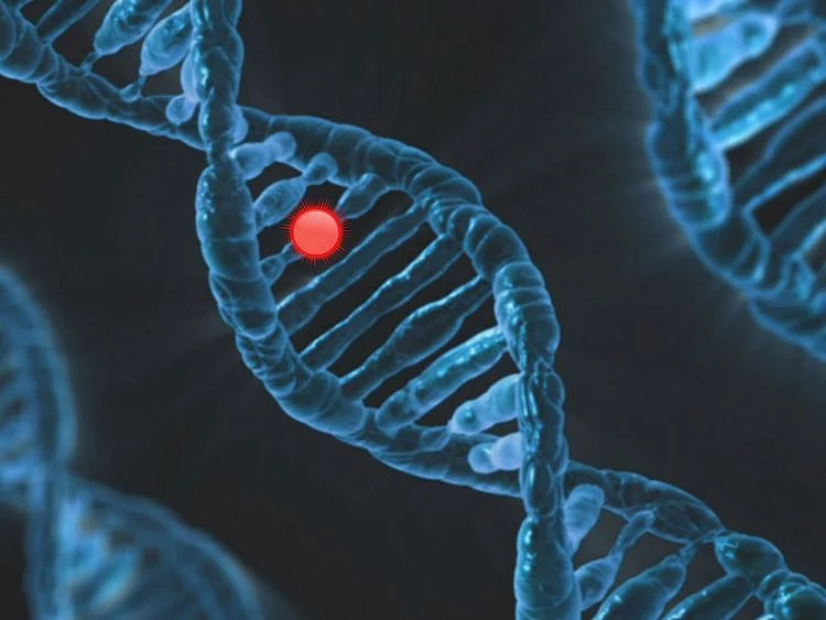 20230927 dna