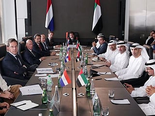 UAE, Netherlands to work jointly on renewables, space, AI, agri-tech and smart mobility