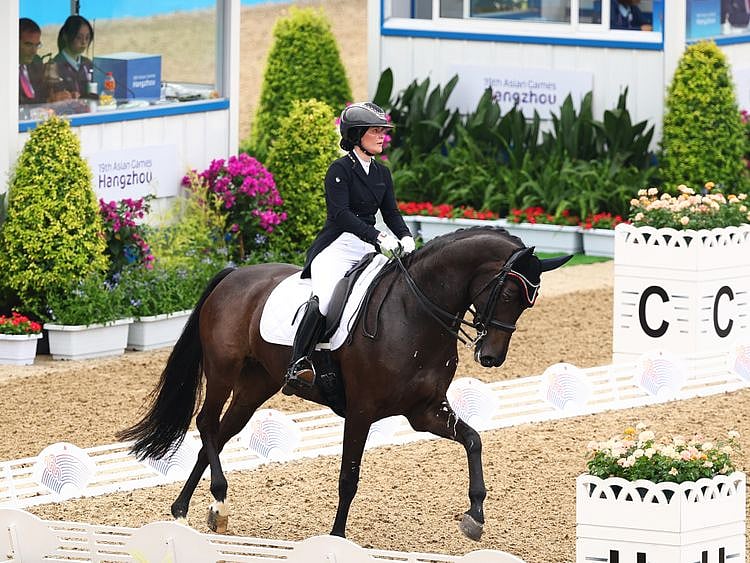 Dressage-1696266870364