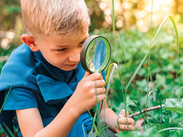 Top-Schools-lead-feature-shutterstock_2363988425-FOR-WEB