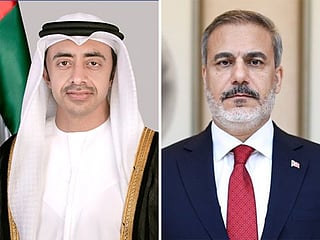 Israel-Gaza war: Abdullah bin Zayed, Turkish FM discuss de-escalation