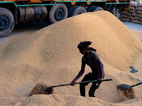 British rice millers have thrived for decades by importing low-tariff unmilled brown rice from India and Pakistan and “polishing” the grains into the white product loved by UK consumers.