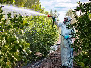 Saudi Arabia plans five-year jail terms for banned pesticides