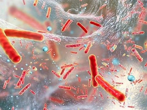 When children now catch superbugs, the infections are much harder to treat.