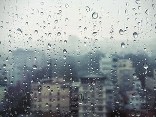 Rainy spell: Dubai electricity authority shares tips for avoiding internal interruptions to power supply
