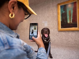 Photos: In Mexico, modern art is for dogs too as exhibition opens