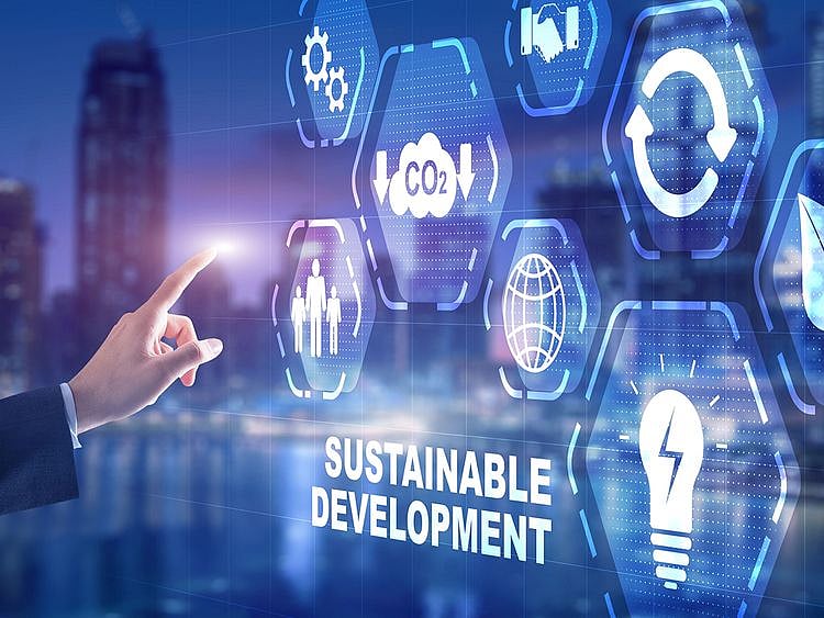 Stock-Sustainability