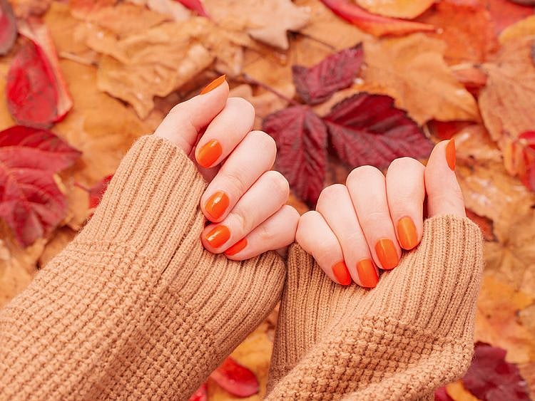 pumpkin spice
