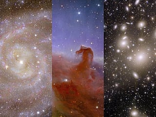 Glimpses of the 'galactic zoo': The five new Euclid images