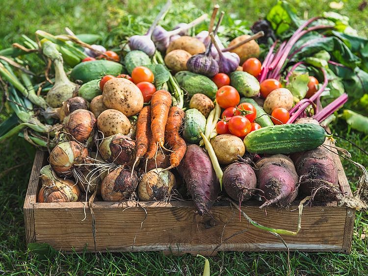 Stock-Vegetables