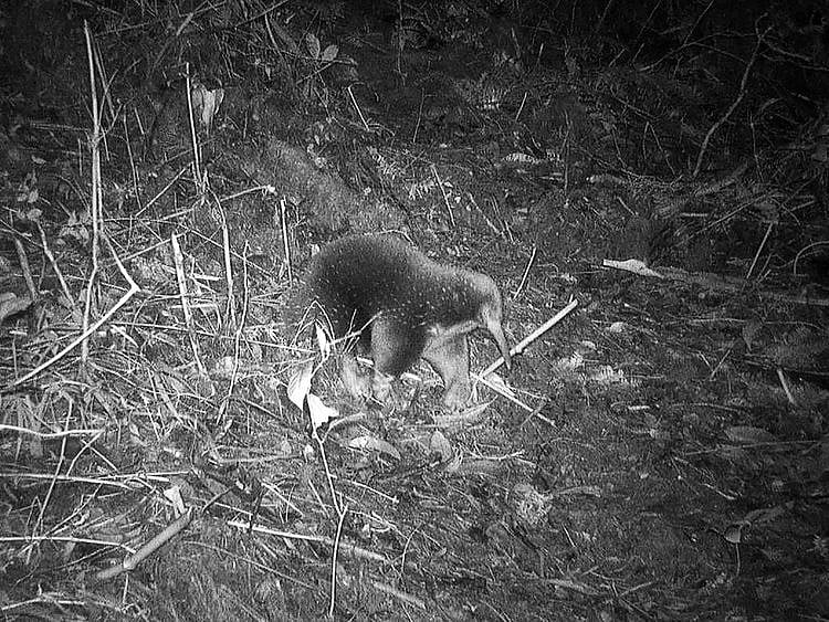 902843-01-02-(Read-Only)