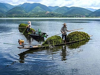 Photos: Myanmar's picturesque Inle Lake chokes on floating farms